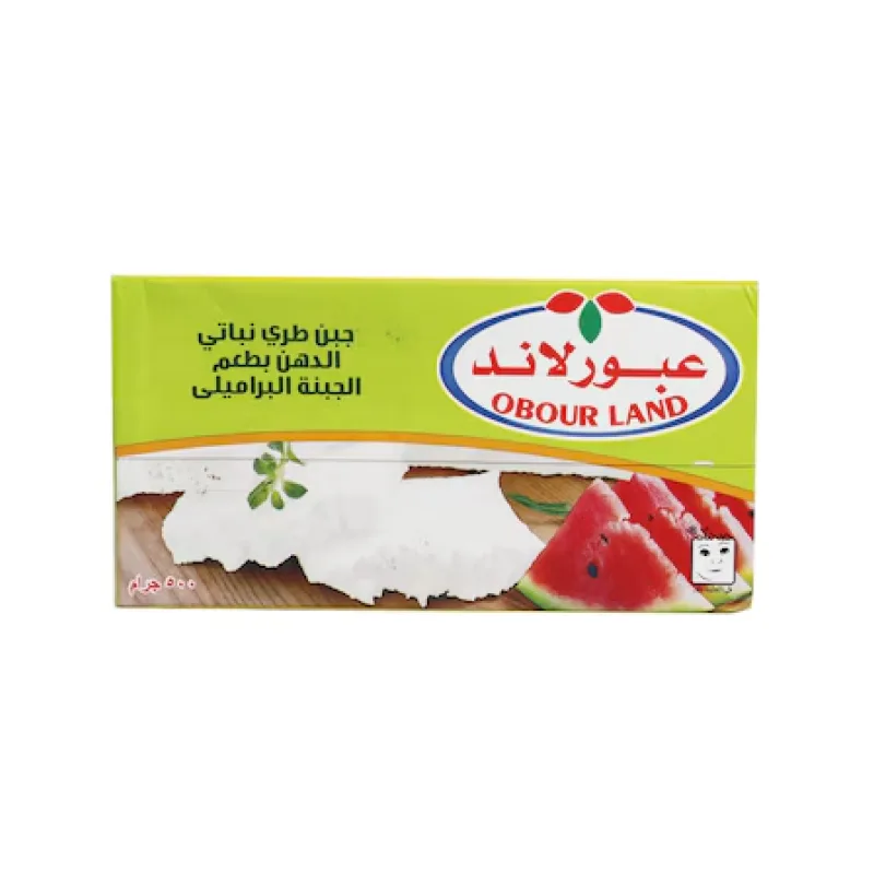 عبور لاند جبن فيتا 500جم - براميلي